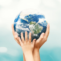 Organizational chart